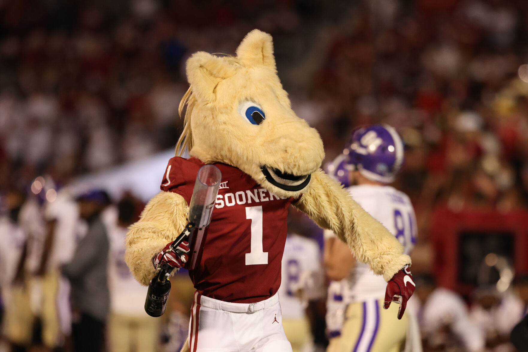 Boomer